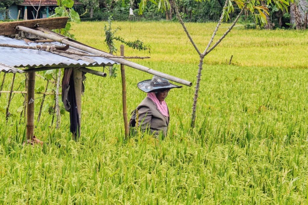 Agriculture